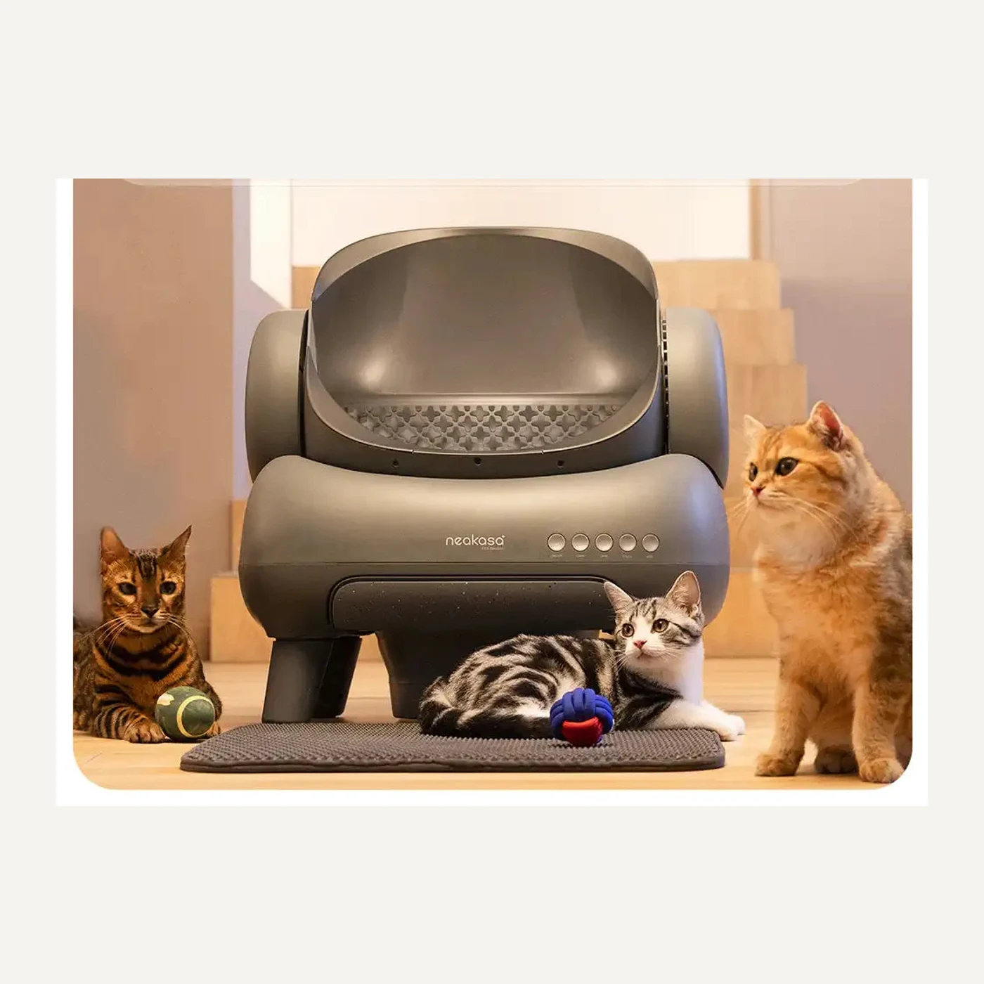 Neakasa M1 Plus open-top self-cleaning litter box